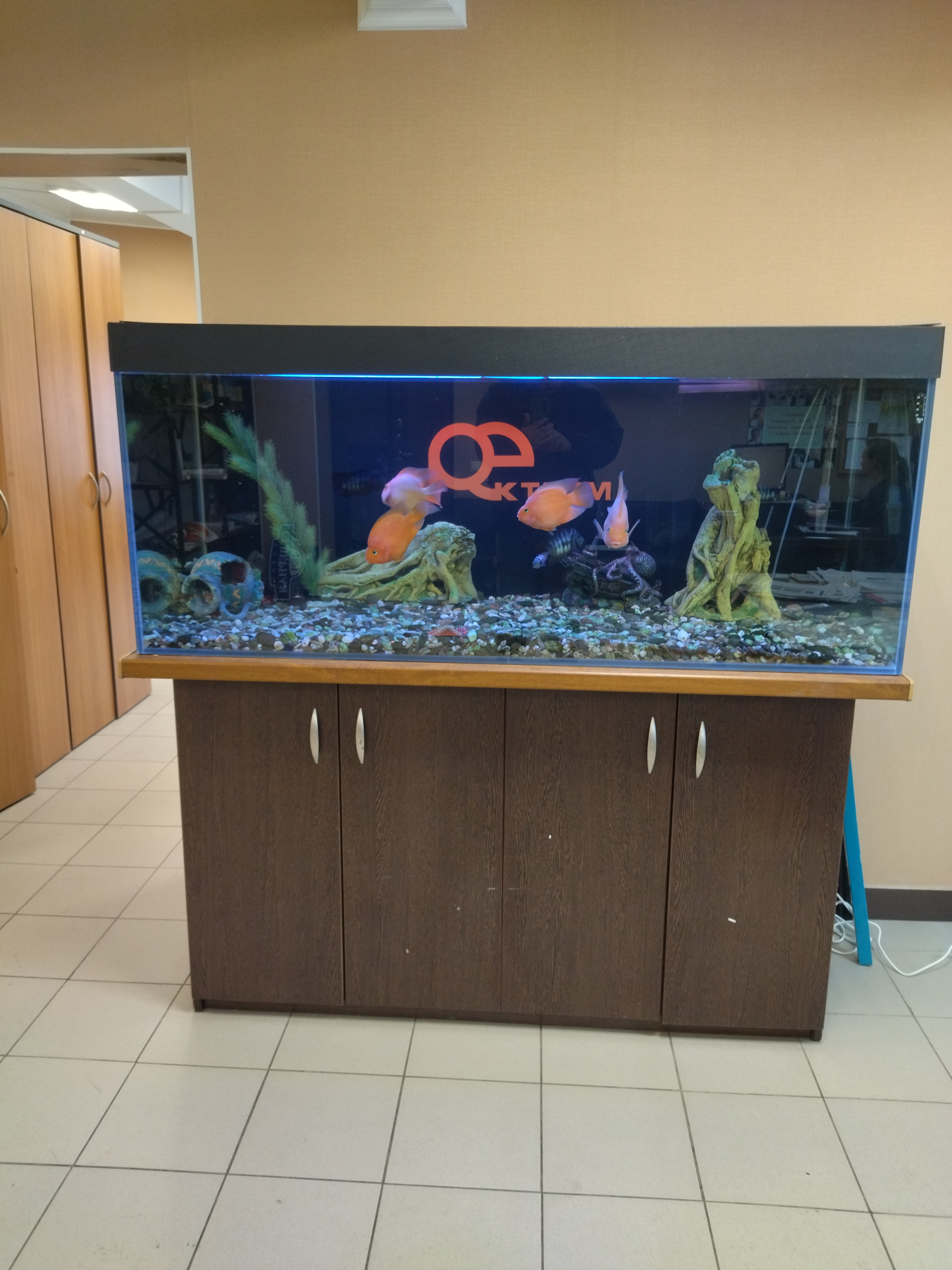 Фото Везендорф Раменское 