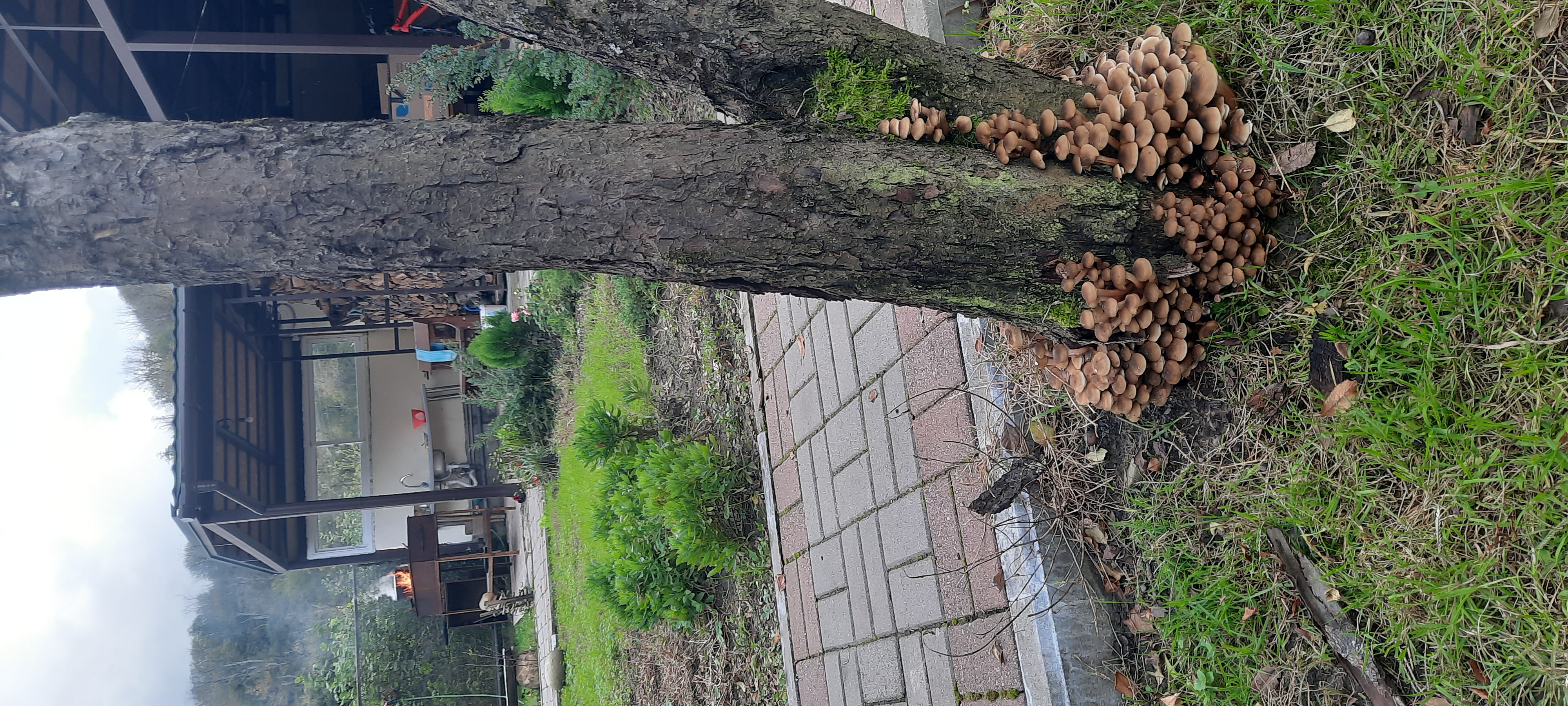 Фото Приют у реки