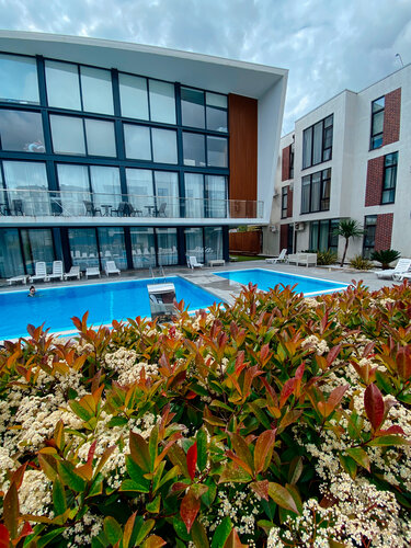 Апартаменты Green Palace Apartment в Краснодарском крае