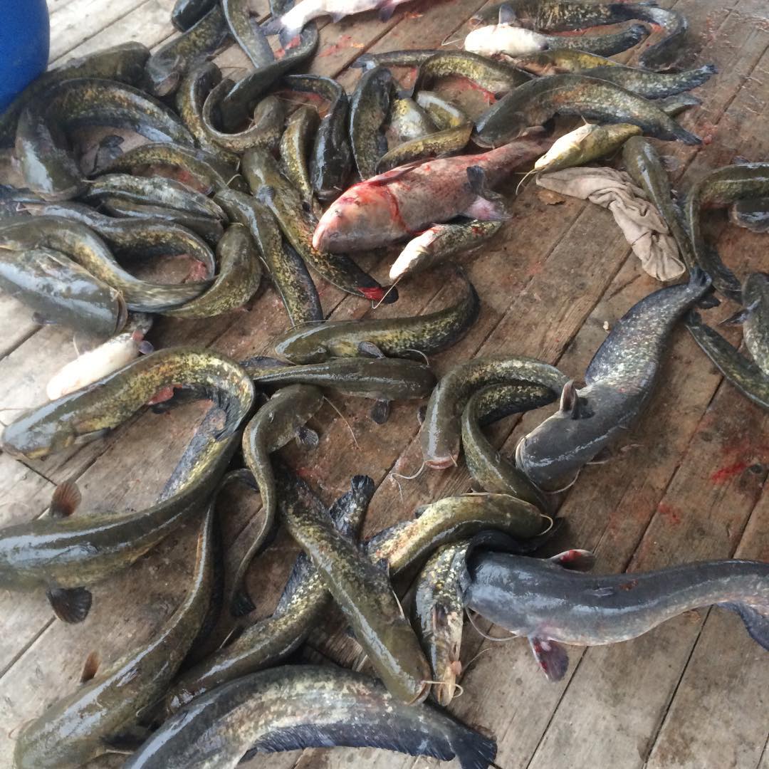 Фото River House