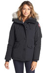 Canada Goose (Obvodnogo Kanala Embankment, 80), other