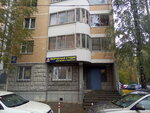 Ryzhy kot (Isaeva Street, 9) ، مدرسة الفنون