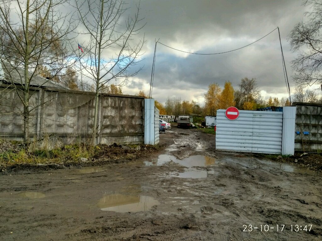 Cría de animales Mikhaylovskoye akseleratsionnoye krolikovodstvo, , foto