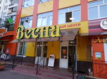 Торгово-офисный центр Весна (ул. Гурьева, 4А, Раменское), торговый центр в Раменском