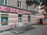 Живое Слово (ул. Блюхера, 12, Екатеринбург), книжный магазин в Екатеринбурге