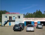 Автосервис (ahraharadok Palykavičy, vulica Palykavickaja šaša, 8) ، ورشة لتصليح السيارات