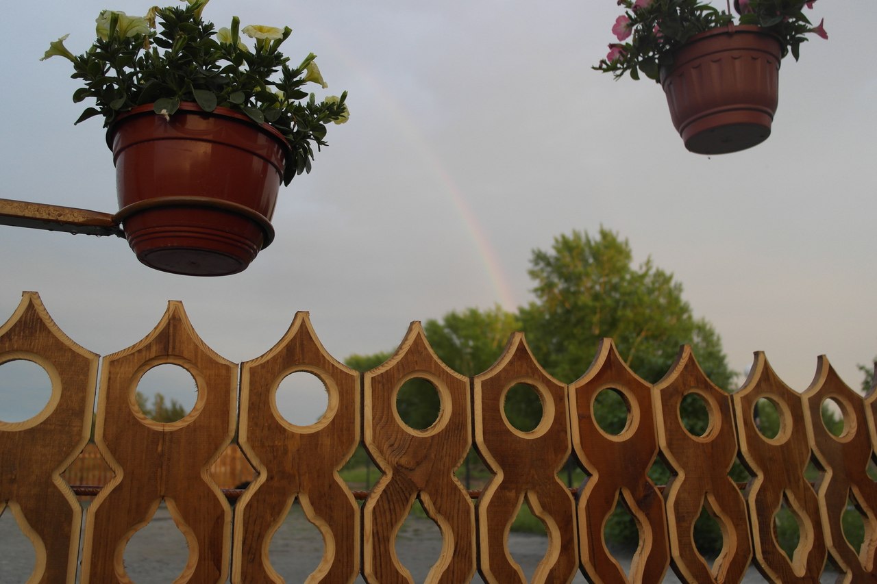 Фото Леснофф