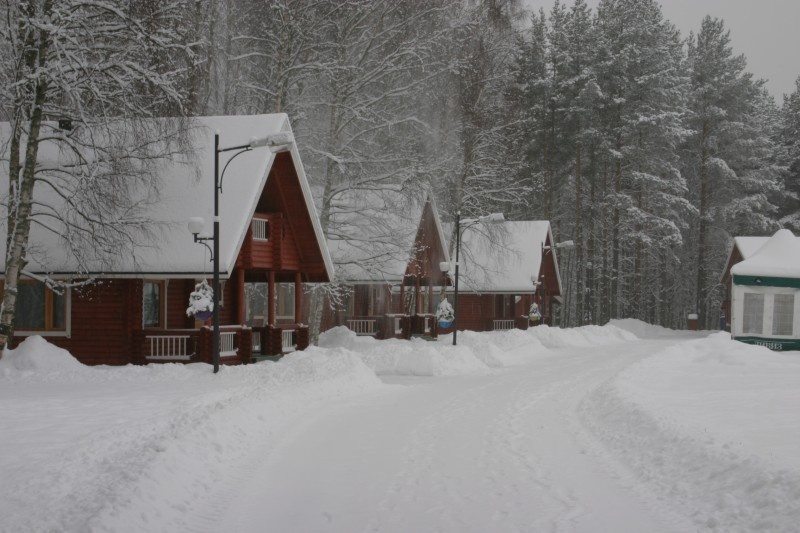 Фото Green Village