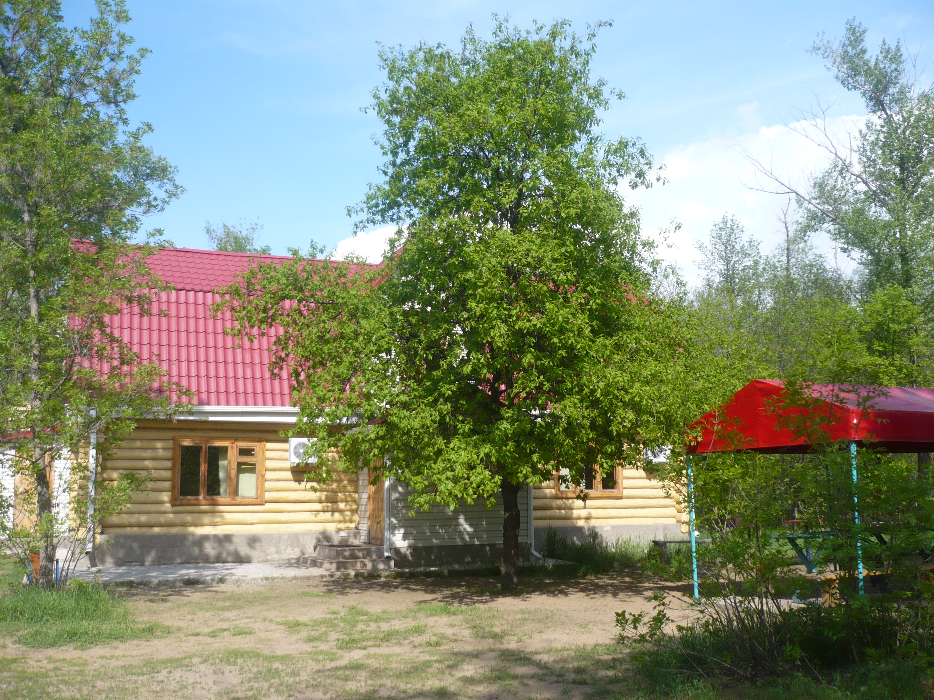 Фото Бакалда