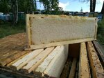 38 Пчёл (Иркутск, микрорайон Первомайский, Алмазная ул., 18), мёд и продукты пчеловодства в Иркутске