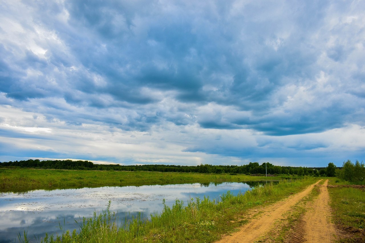 Фото Некрасовская дача
