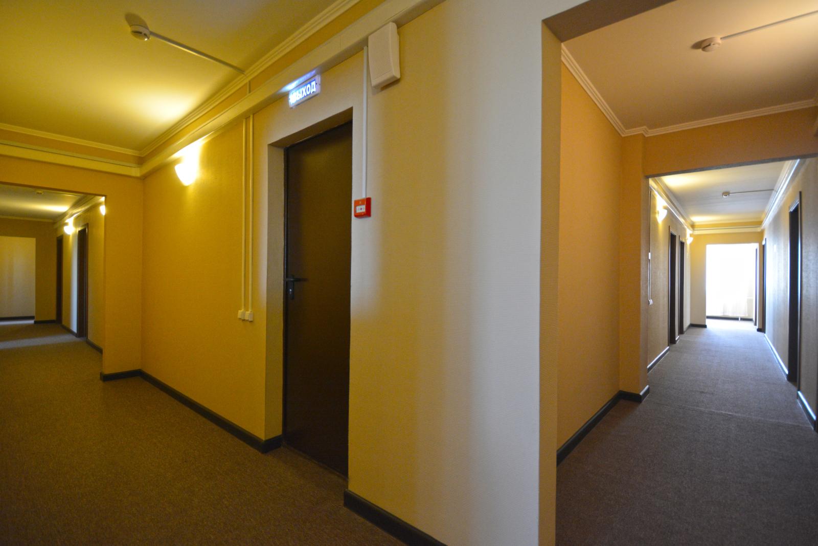 Фото Сталагмит