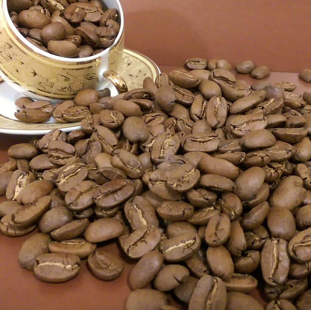 متجر قهوة Kofeynaya kompaniya Coffee-Arte ، ، صورة