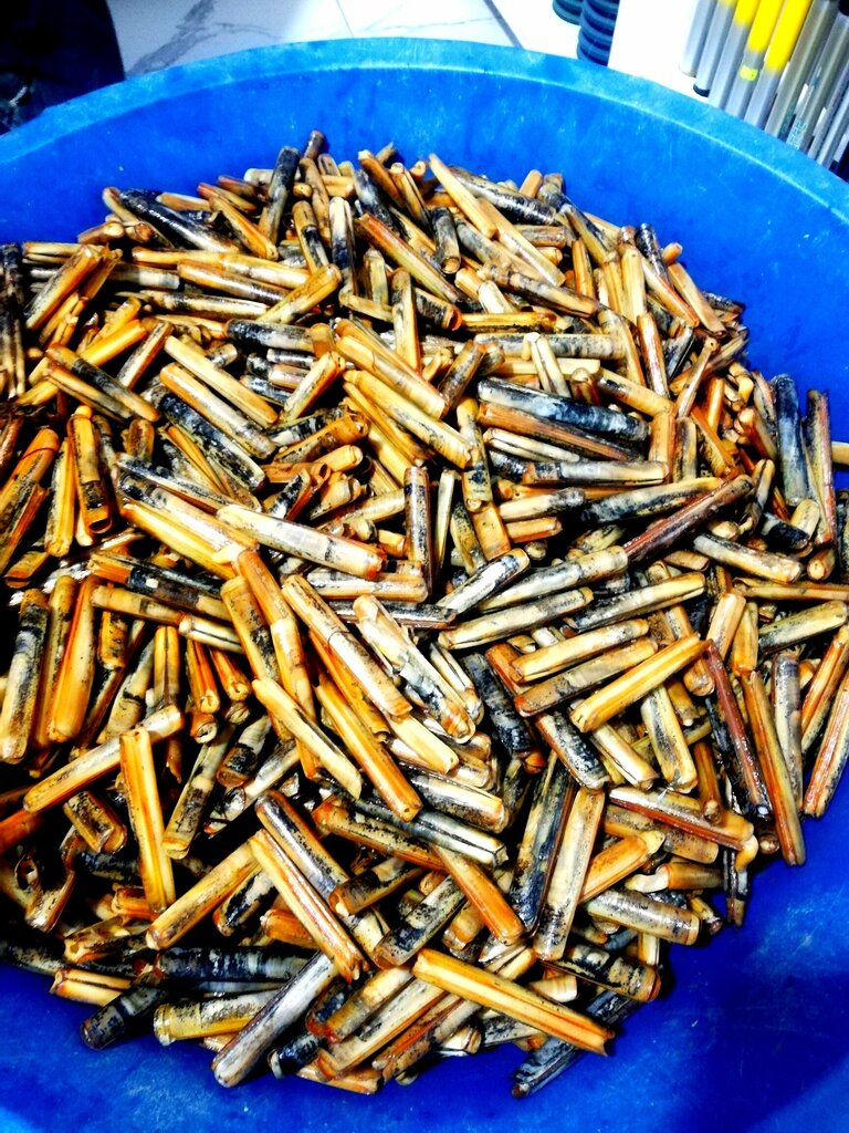 Fodder and feed additives Ahmet the Feeder, Izmir, photo