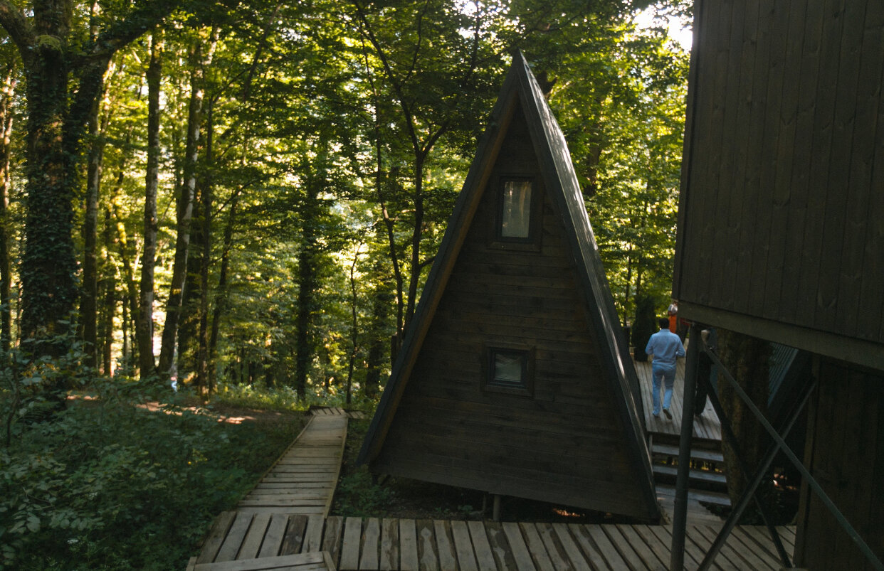 Фото Дзен Поляна