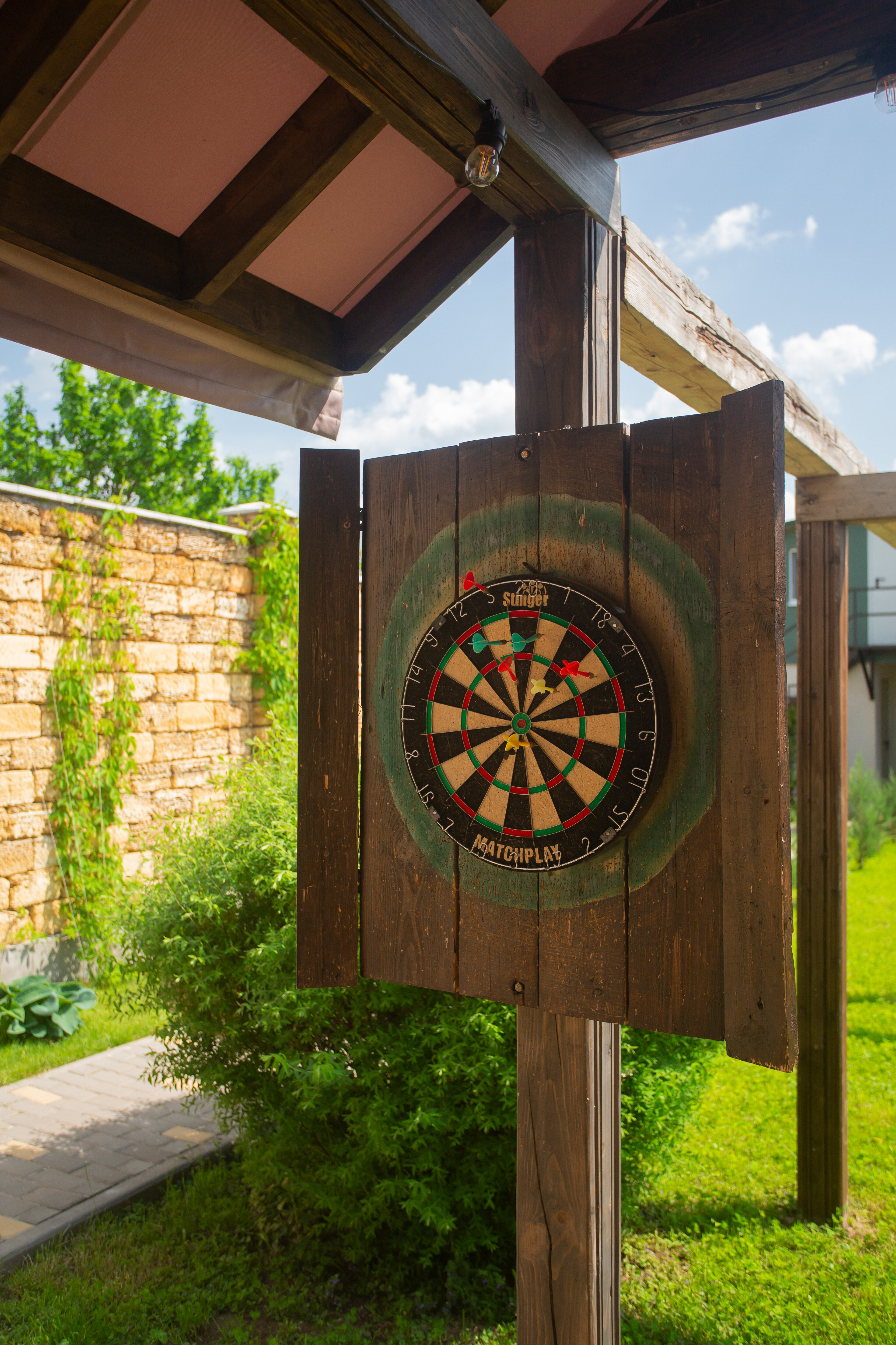 Фото Тополя