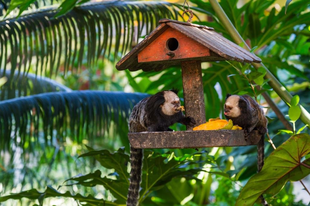 Фото Arraial Bangalô Praia Hotel