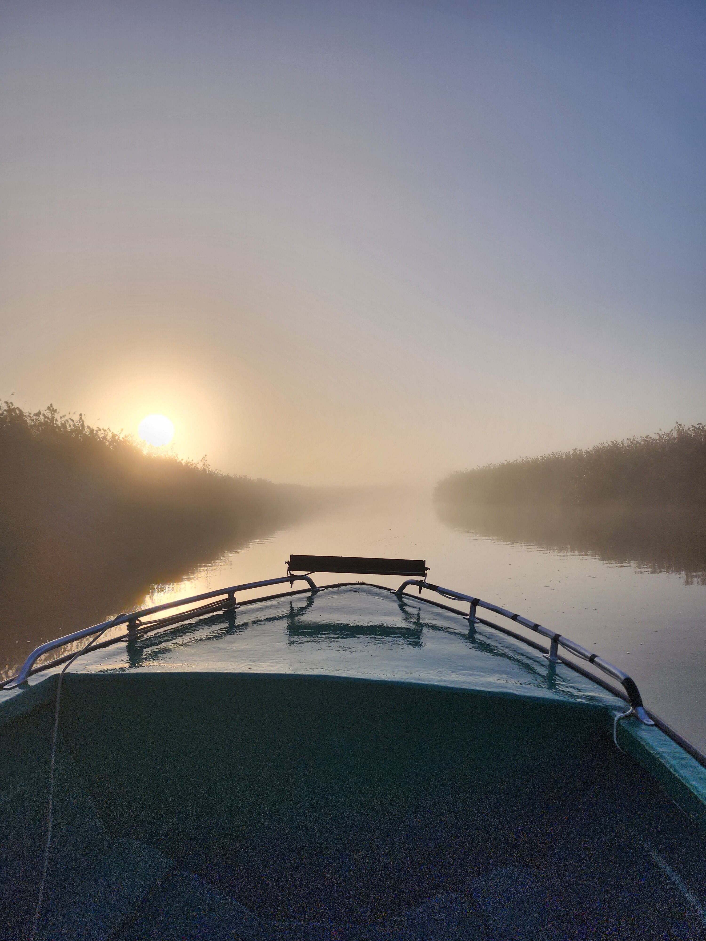 Фото Пиранья Дельта