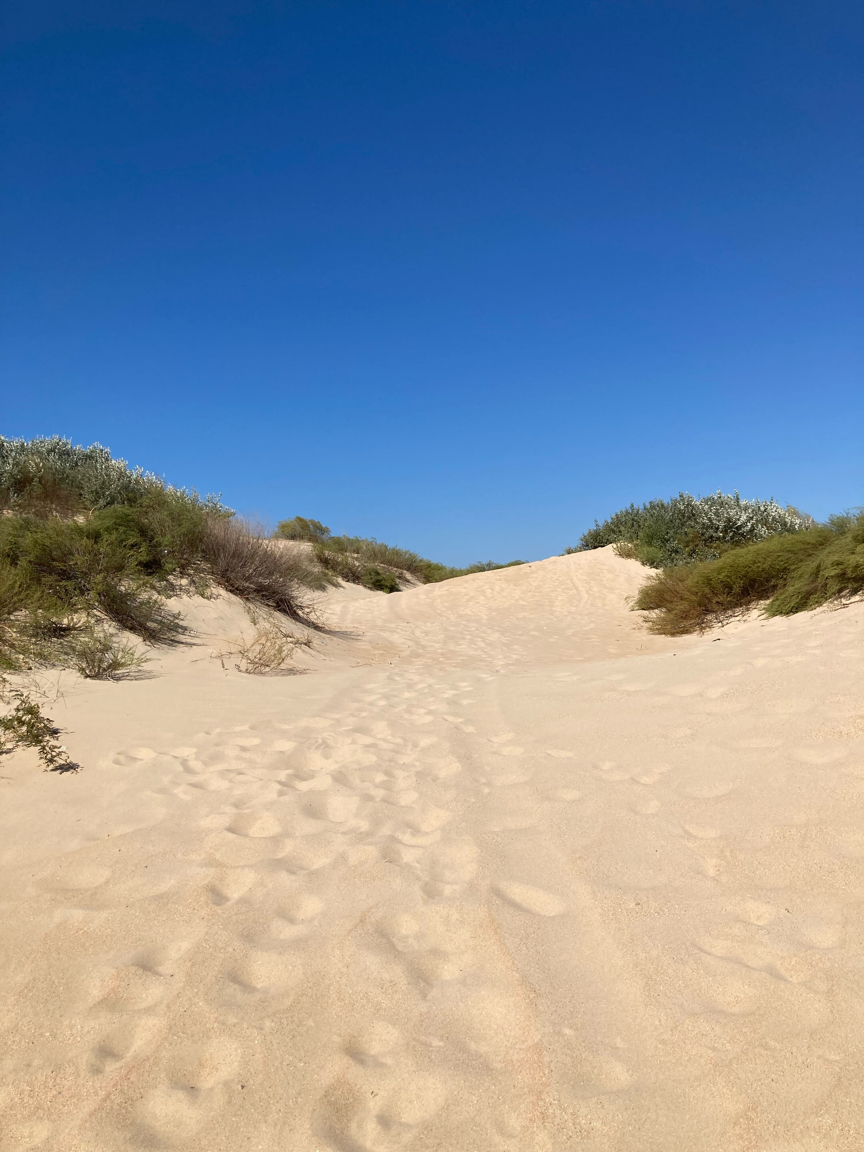 Фото В гостях у сказки