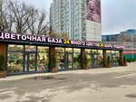 Mnogo Cvetov (Leningradskaya Street, 9Ас1), flower shop