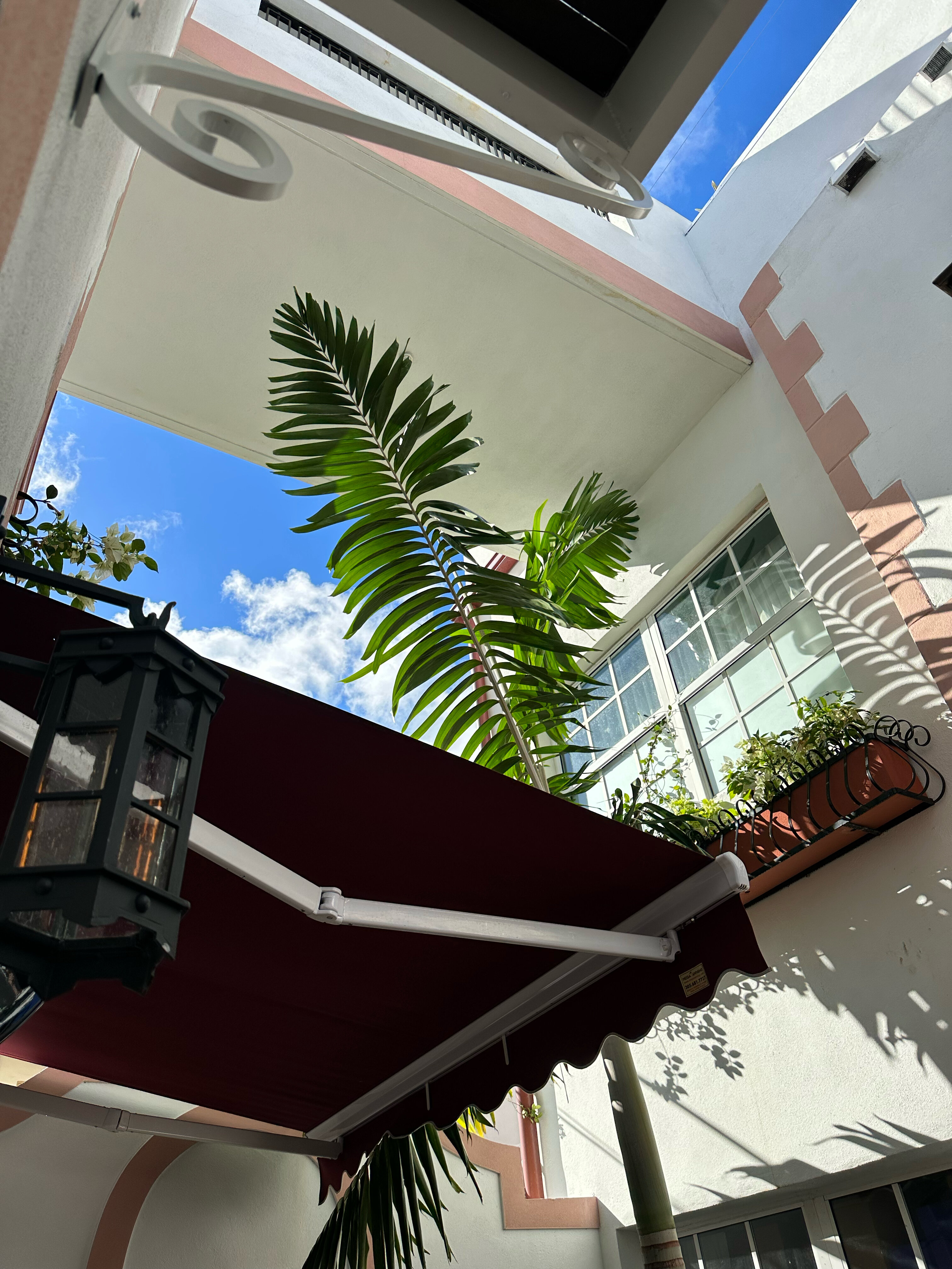 Фото Esmé Miami Beach