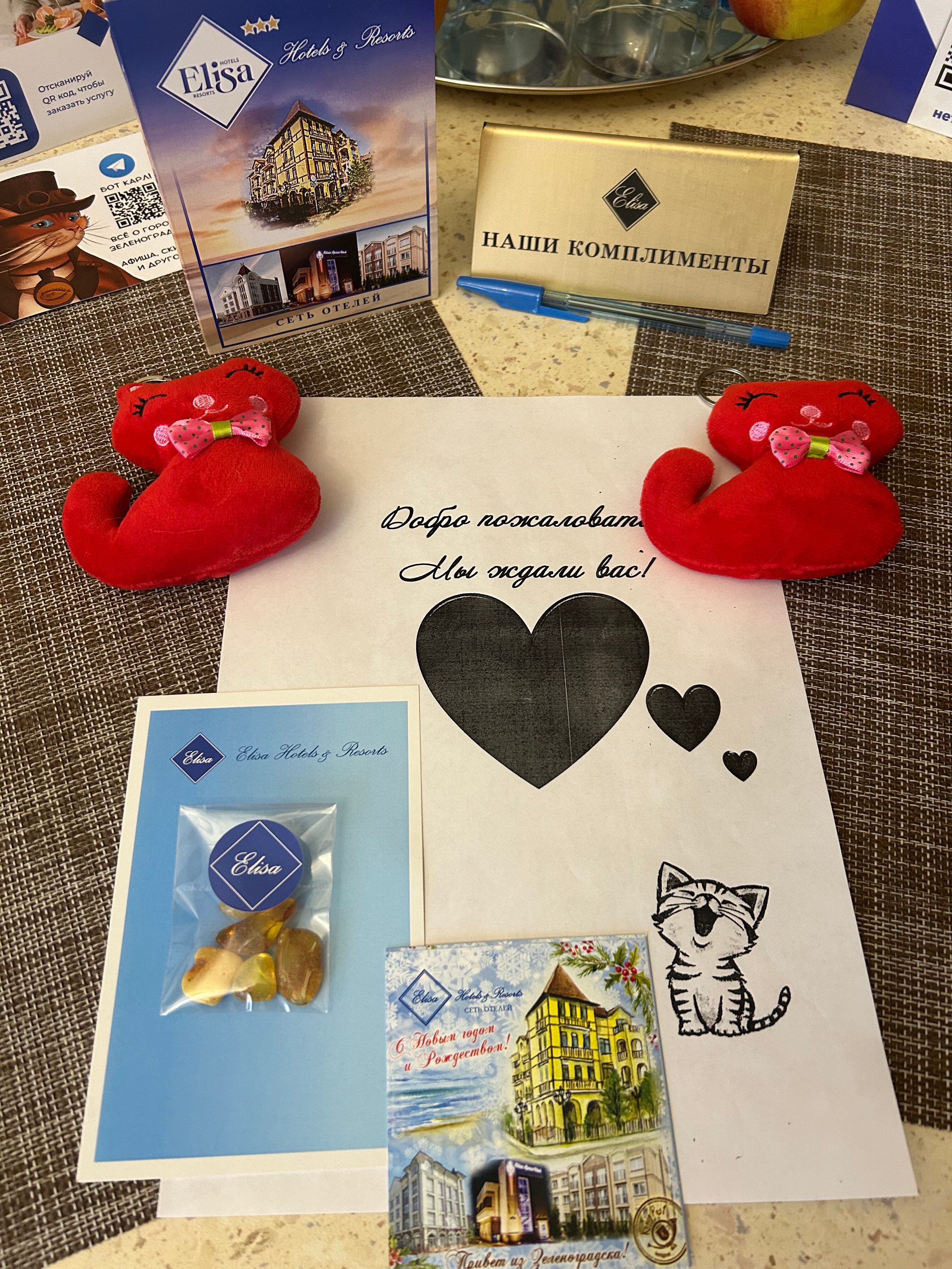 Фото Принцесса Элиза