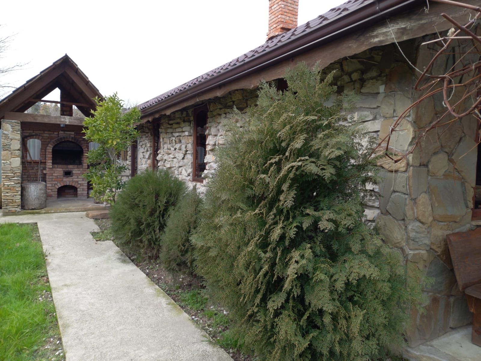 Фото Салангана