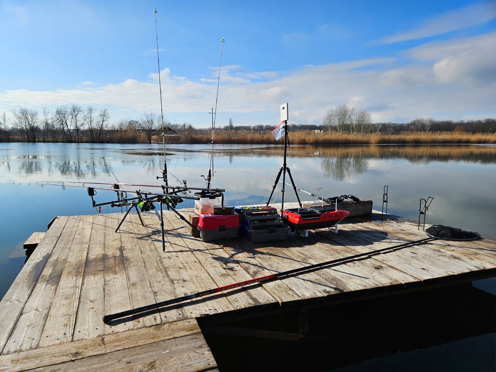 Фото Река лес