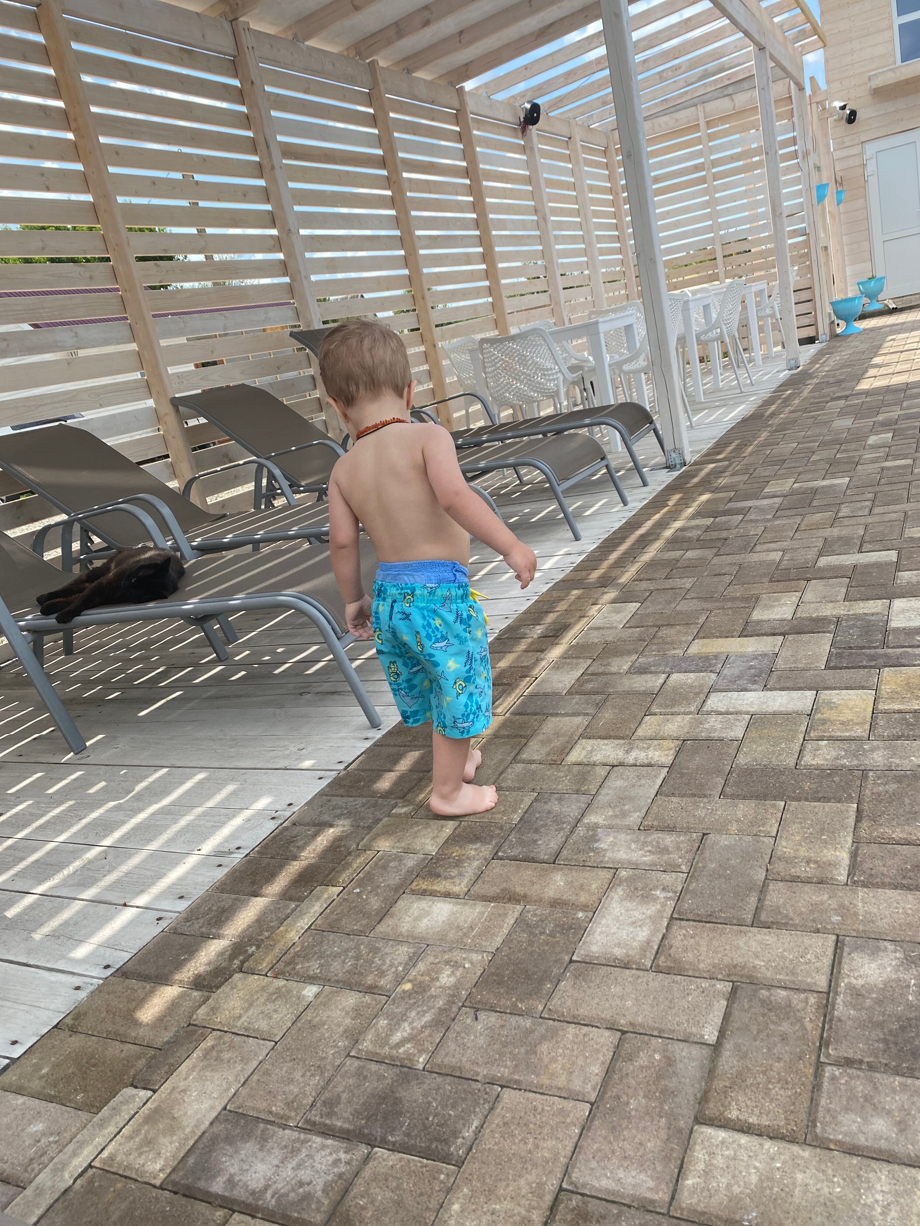 Фото ДанДача