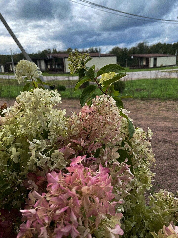 Фото Логи Апарт