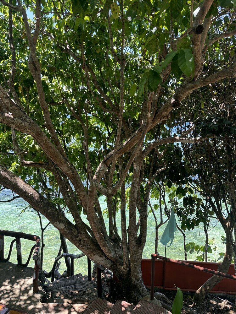 Фото Gratum Beach Resort