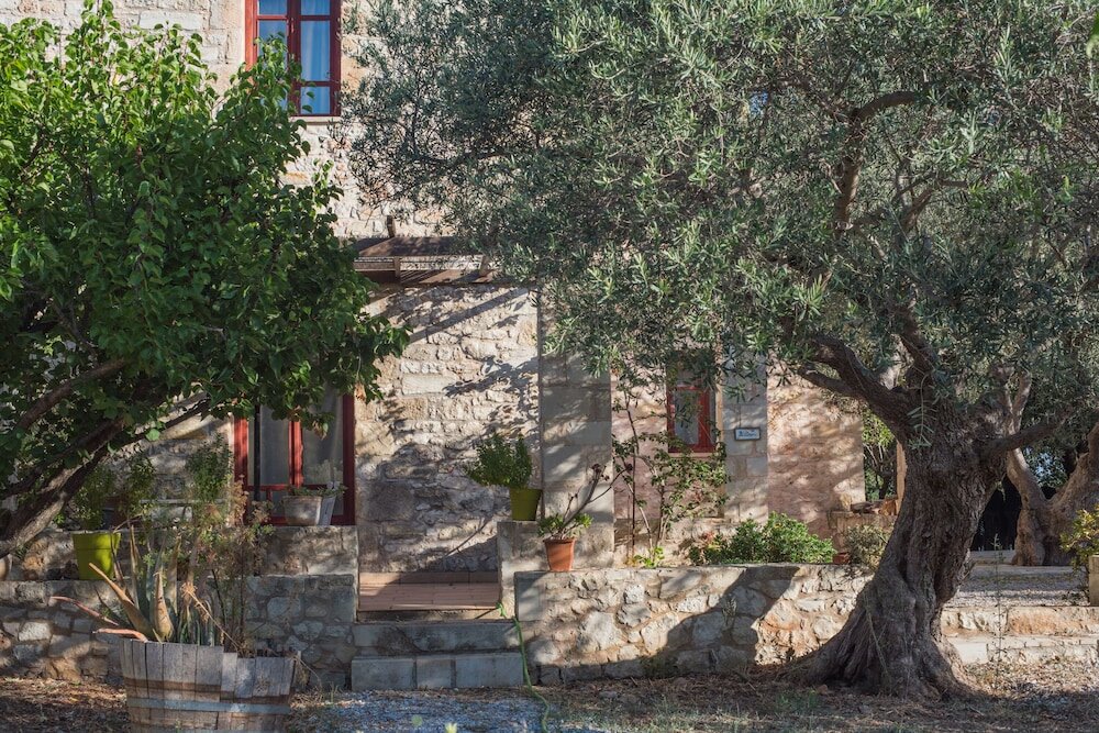 Фото Vamos Fabrica Farm