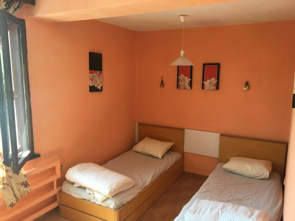 Фото Hair of the Dog Hostel