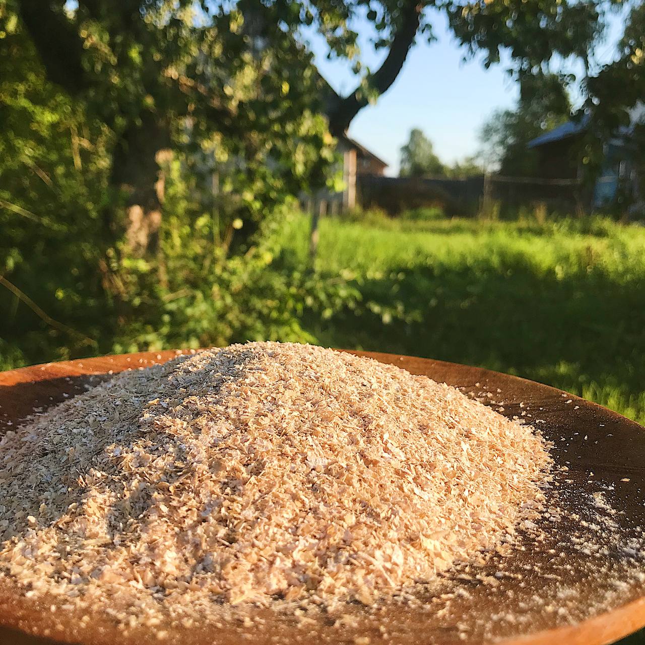 Фото ХоллиЛэнд 