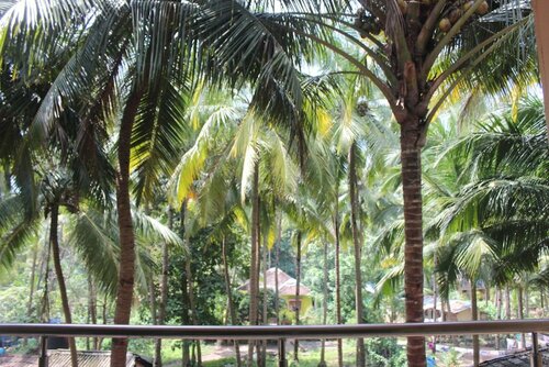 Гостиница Sun N Moon Palolem Beach в Канаконе