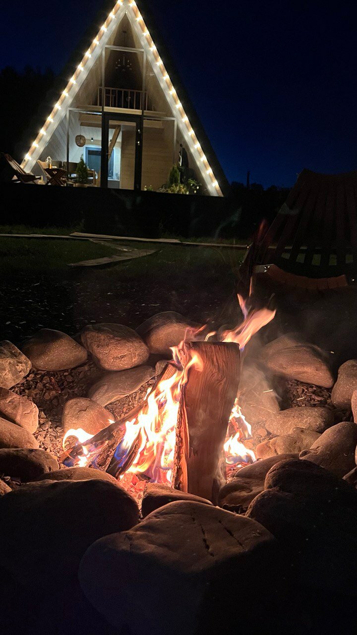 Фото Камыши