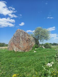 Petrovitsky boulder (Leningrad Region, Lomonosovskiy District, Koporskoye selskoye poseleniye), landmark, attraction