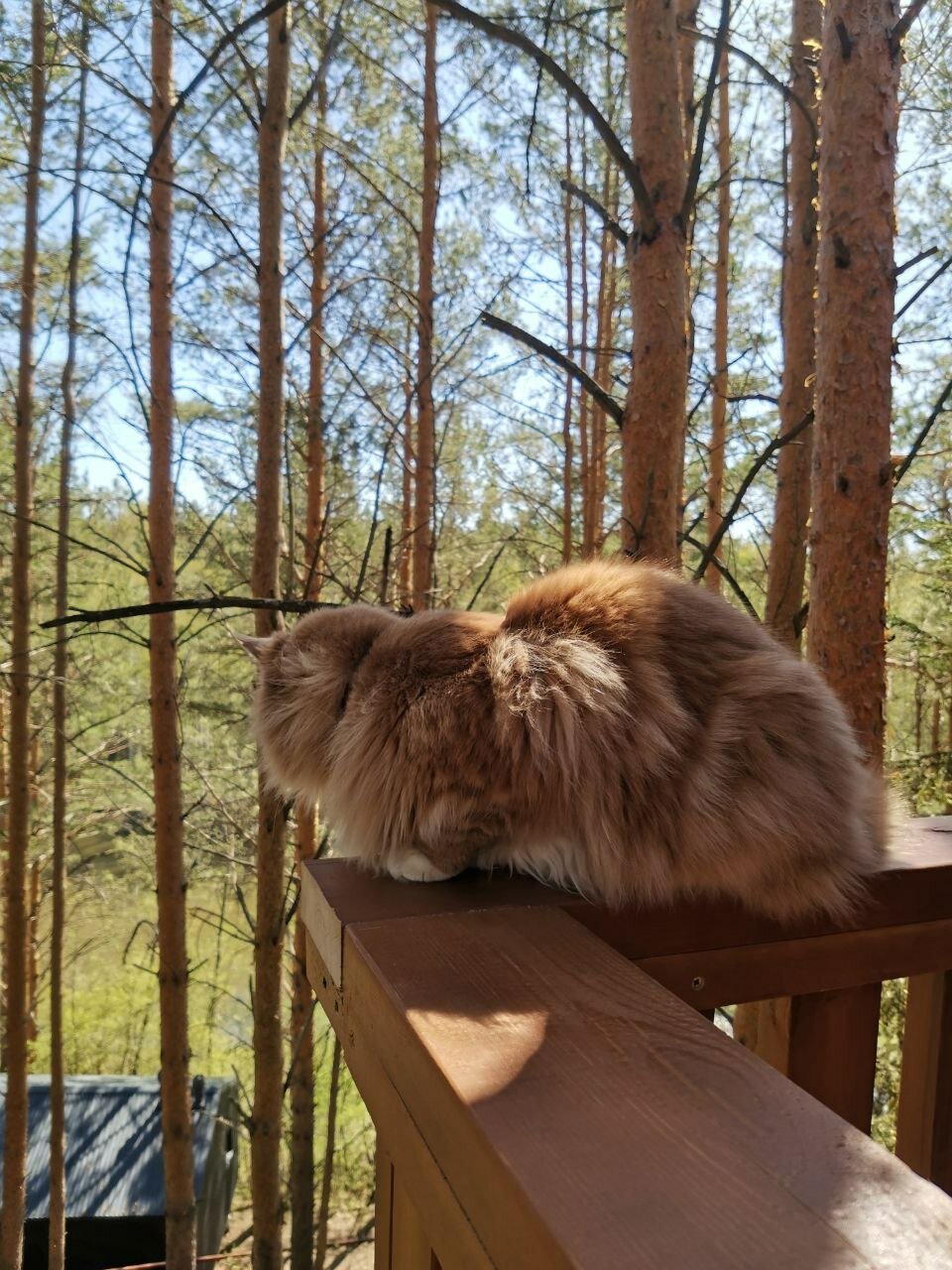 Фото Ключ-Камень