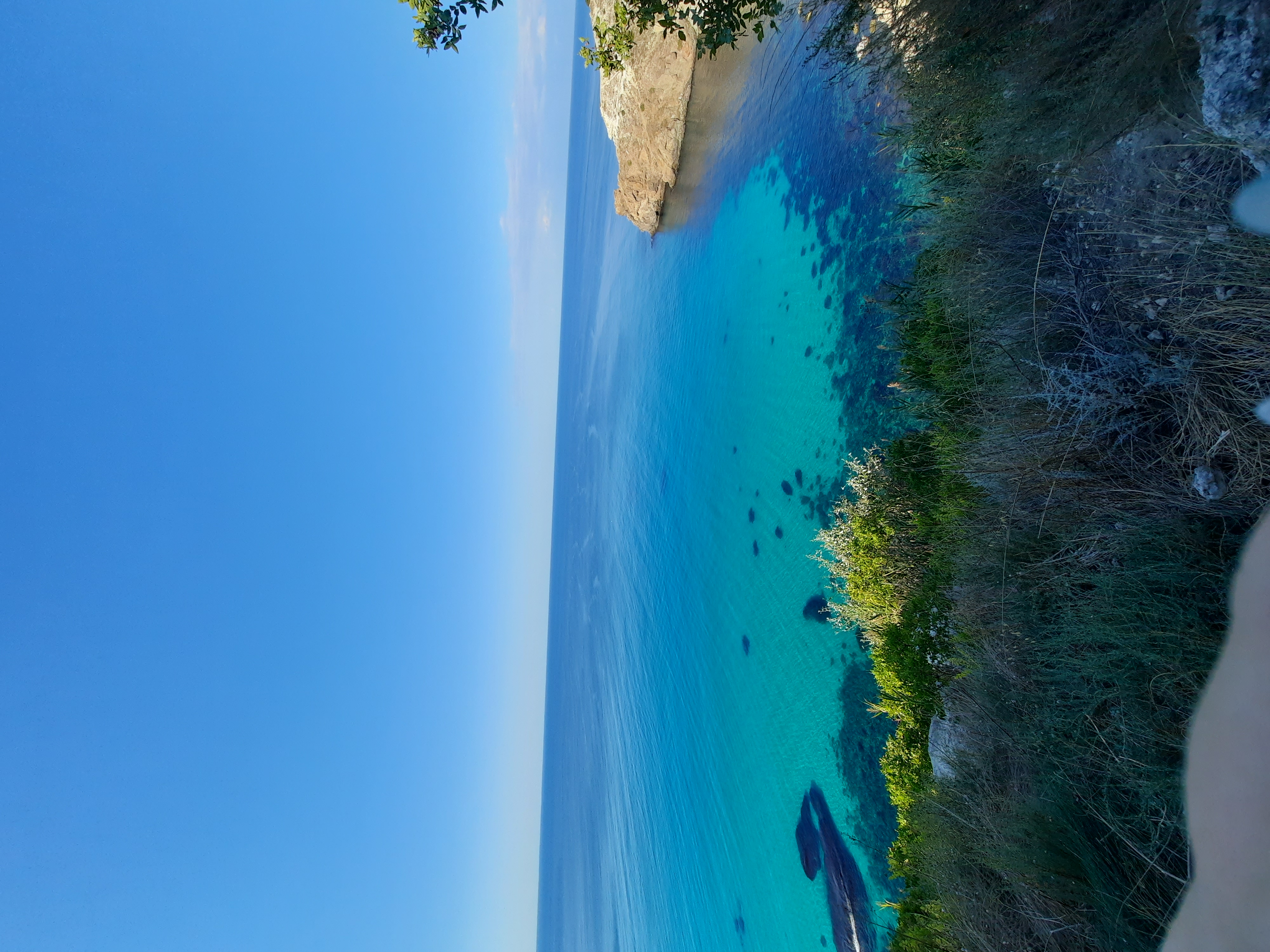 Фото Пилигрим