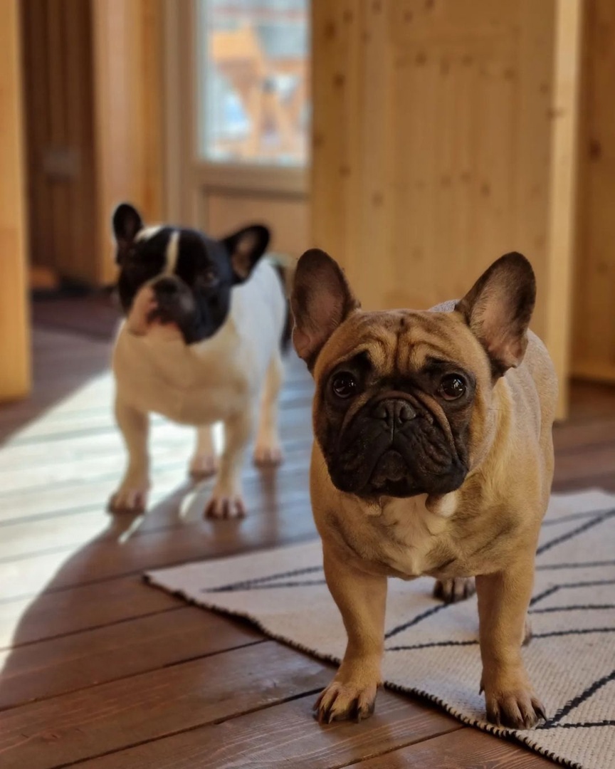 Фото Ладога Хоум