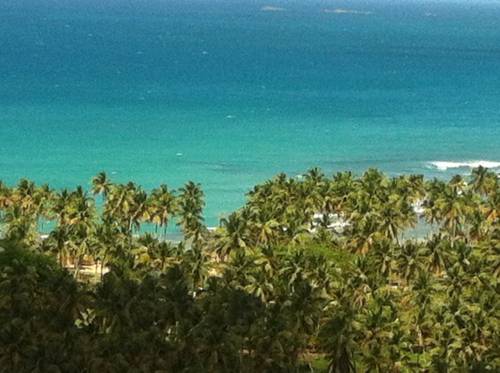 Фото Hotel Restaurant Hamilton Beach Resort