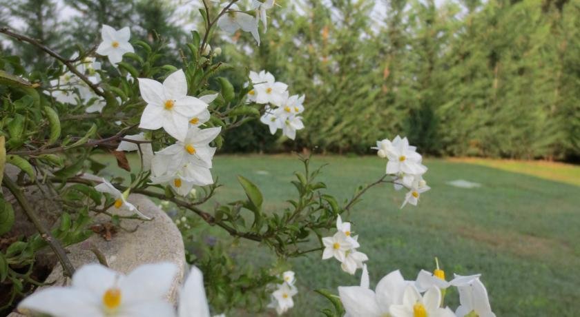 Фото Ladino Room & Breakfast