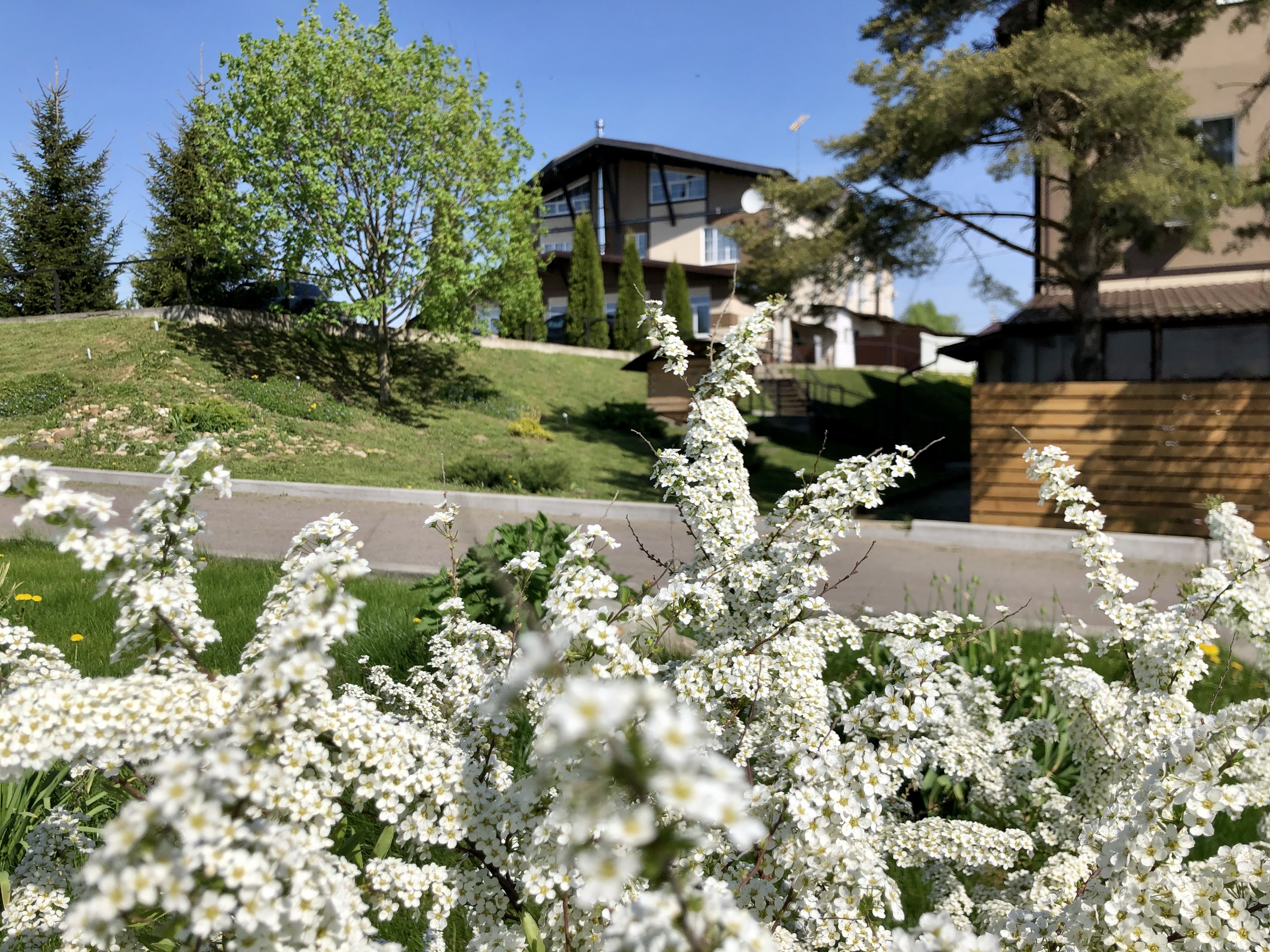 Фото Усадьба