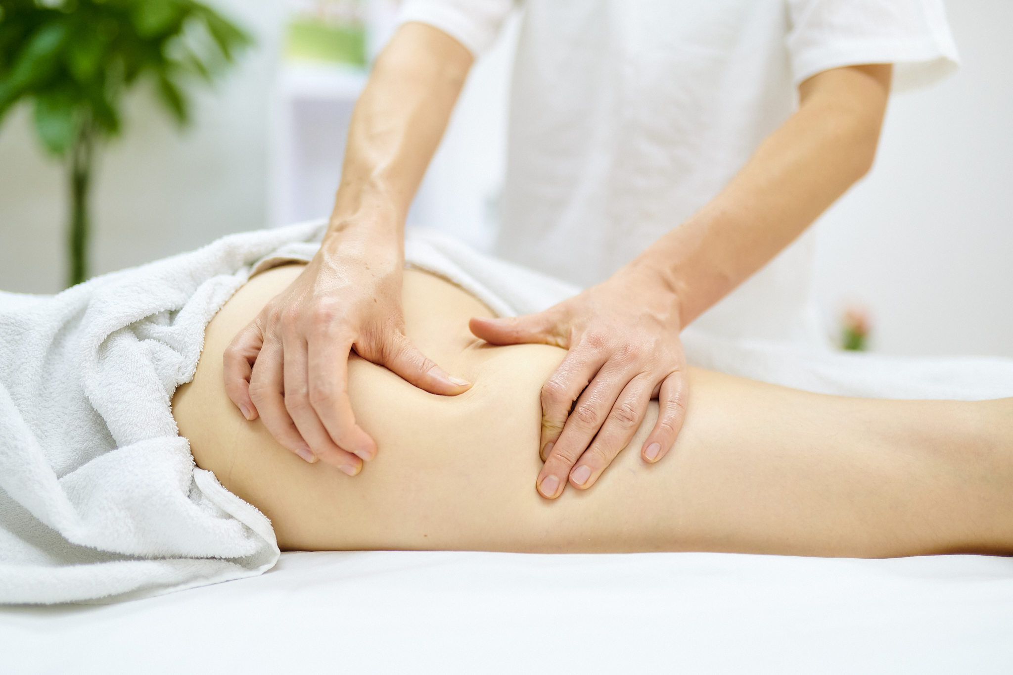 Фото Сосновый бор