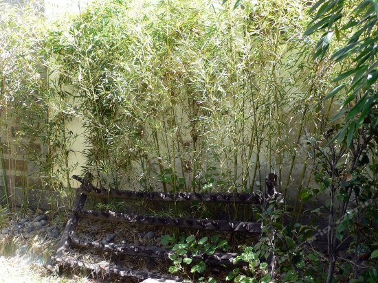 Фото Jiaqi Hotel