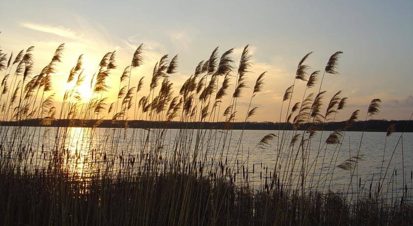 Фото Ferienwohnung Mayer