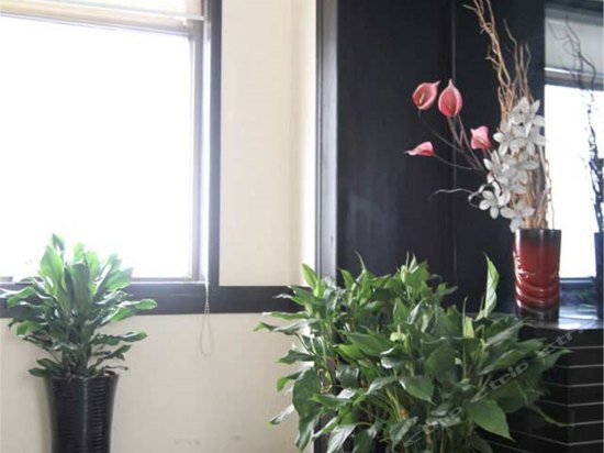 Фото City Inn Nanjing Jiankang Road