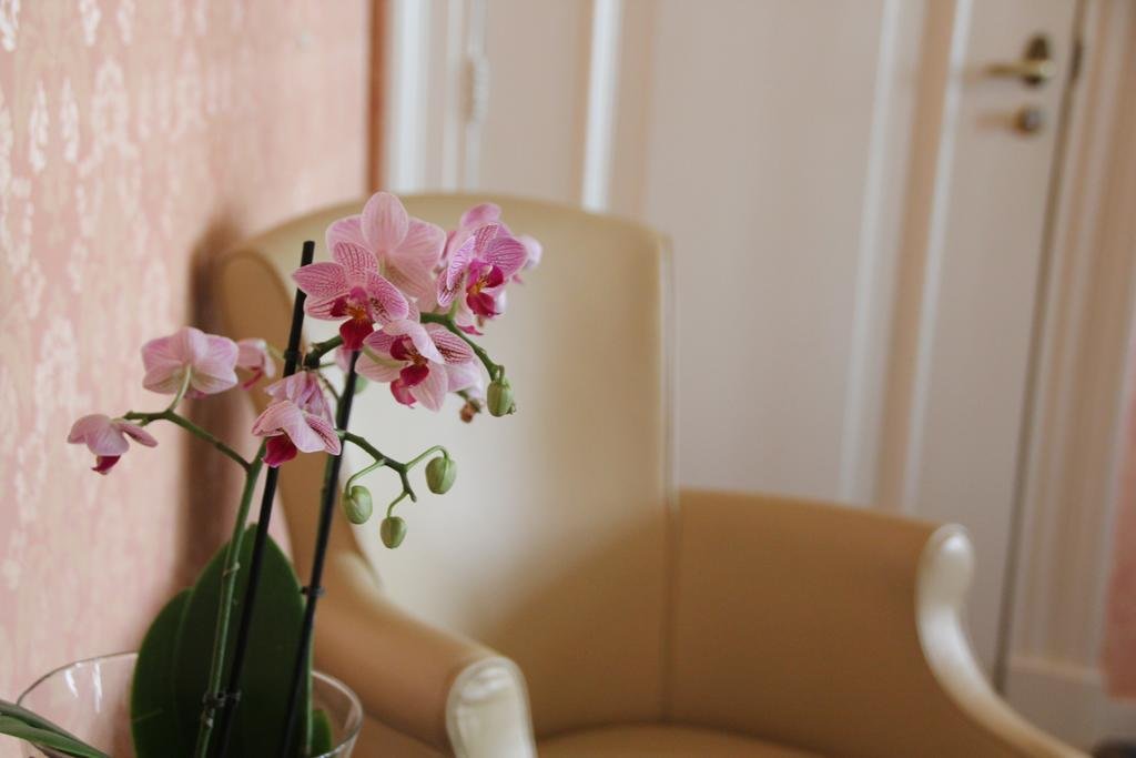 Фото Hotel aan de Dam