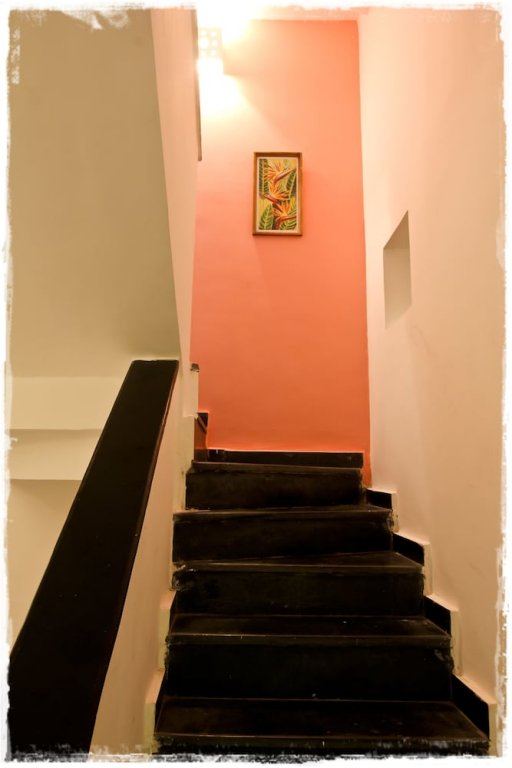 Фото San Joao Holiday Homes