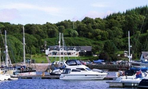 Hotel The Wide Mouthed Frog, Scotland, photo